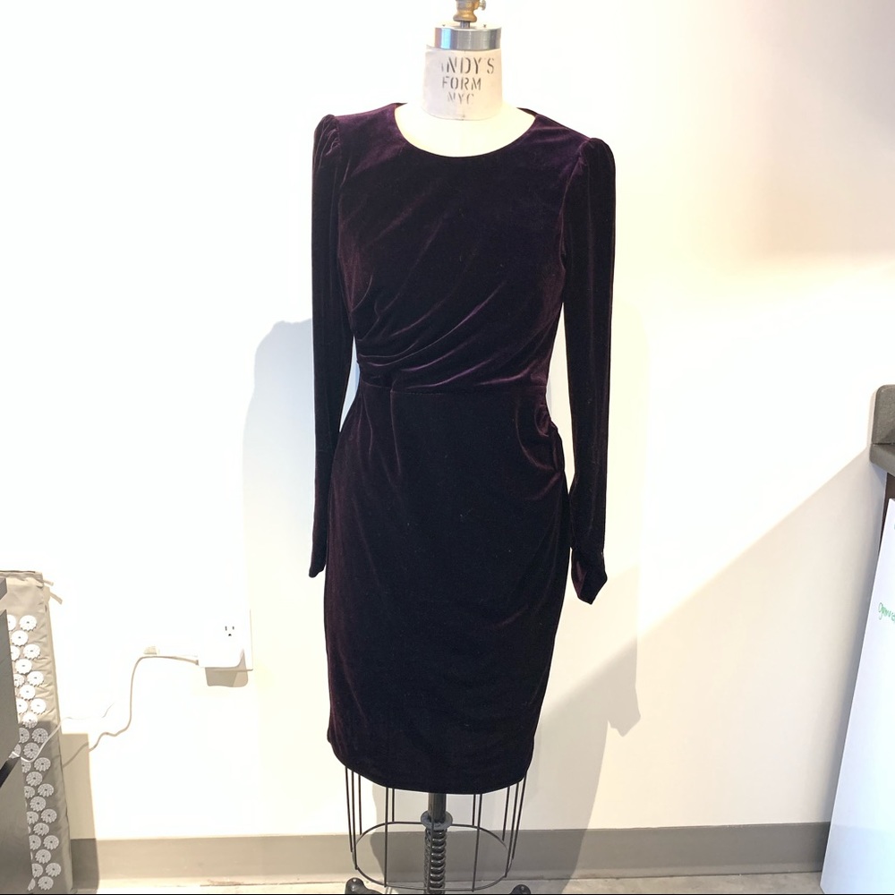 NWOT Calvin Klein Plum Velvet Dress